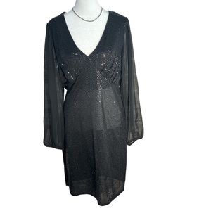 ALEXA B NITES Long sheer Sleeve Black Dress